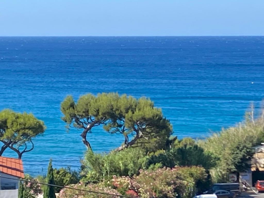 Face A La Mer, Cassis Et Son Cap Canaille Eksteriør billede